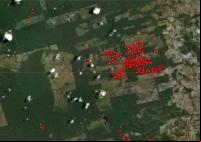 Alertas de incêndio do GFW indicam focos em torno de terras agrícolas no Pará, de 18 a 19 de agosto
