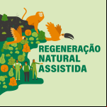 Regeneração Natural Assistida