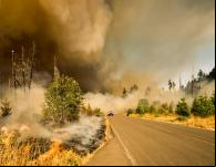 Incêndio florestal IPCC adaptação clima extremo