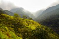 Imagem aérea de paisagem de floresta na costa rica
