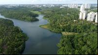imagem aérea de parque, corpo d'água e cidade