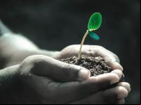 "So, what’s the roadblock to investing in forests