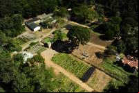 imagem aérea de viveiro de mudas no parque estadual do rio doce