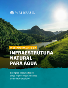 Capar do relatório "Estado da Arte da Infraestrutura Natural para Água".