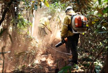 Brigada controla incêndio no DF