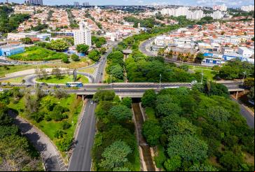 imagem de cidade e floresta