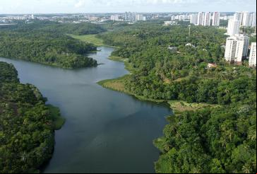 imagem aérea de parque, corpo d'água e cidade