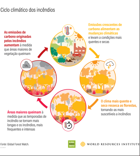 Gráfico mostra as relações entre clima e incêndios