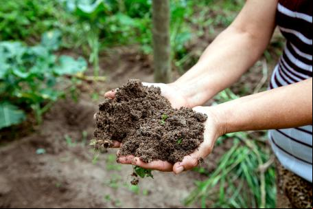 Mulher mostra mãos com terra