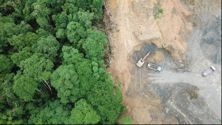 imagem de drone de um local desmatado para plantação de óleo de palma na Malásia