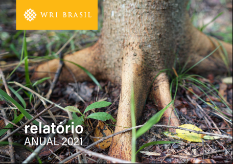 capa do relatório
