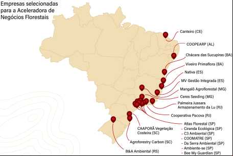 Mapa de negócios Acelerados
