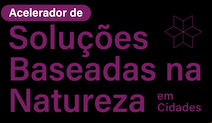 logo do Acelerador de SBN