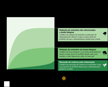 gráfico mostra um exemplo de montagem de portfólio de carbono florestal