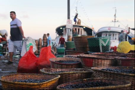 desembarque de açaí pela manhã no mercado ver-o-peso