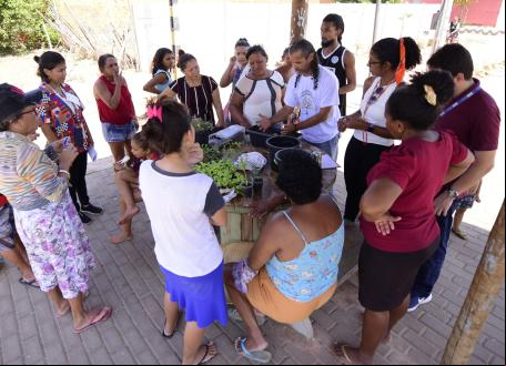 grupo reunido durante oficina de quintais verdes em teresina