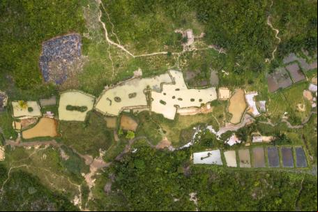 Na Yangambi Engagement Landscape, na República Democrática do Congo, as florestas são intercaladas com a aquicultura e a agricultura.