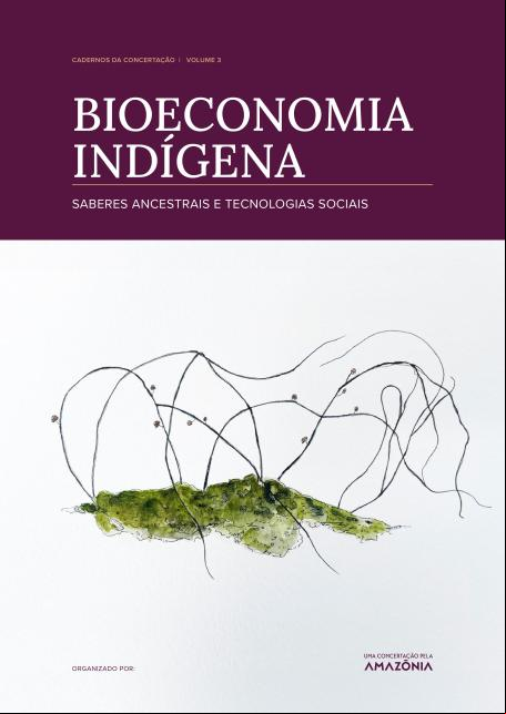 capa do estudo Bioeconomia indígena: saberes ancestrais e tecnologias sociais