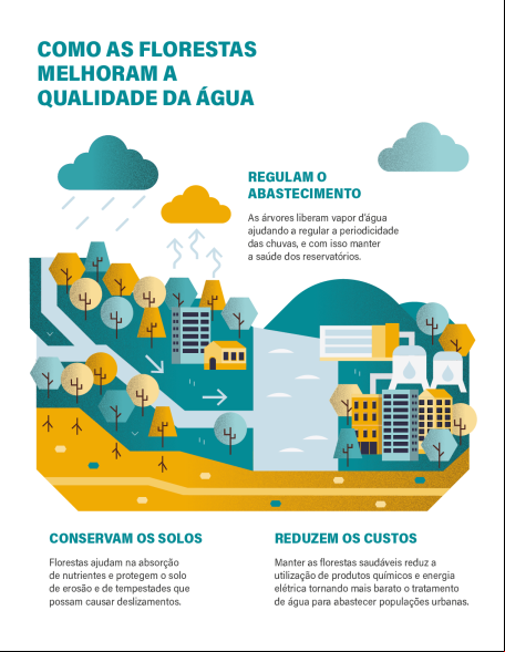 Infográfico: "Como as florestas melhoram a qualidade da água".