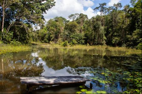 Oficina sobre Agroecologia, Regeneração Natural Assistida no Pará