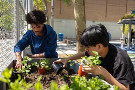 jovens plantando mudas de árvores