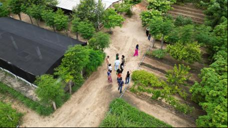 Imagem aérea de um ponto de restauração com edificações, plantações e um grupo de pessoas conversando ao centro.