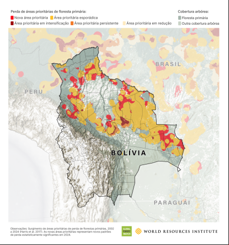 Perda de cobertura florestal na Bolívia