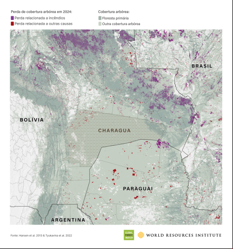Perda de florestas na Bolívia