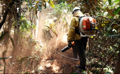 Brigada controla incêndio no DF