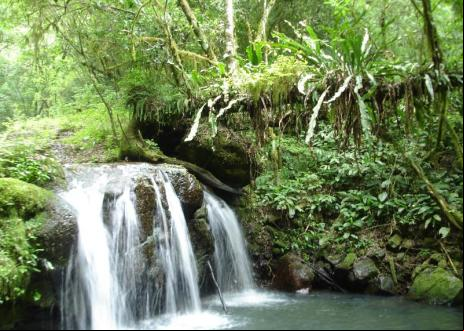 Waterfall