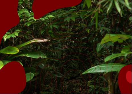 Banner Aceleradora