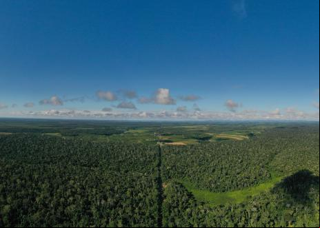 Vista aérea de floresta na região de Vitória-ES