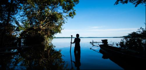 nova economia da amazônia