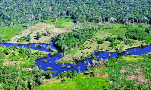 Desmatamento na Floresta Amazônica próximo a Manaus (MA) (Foto: Neil Palmer/CIAT)