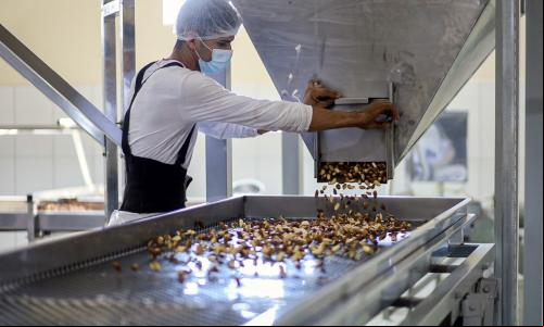 imagem de fábrica de processamento de castanha com homem trabalhando