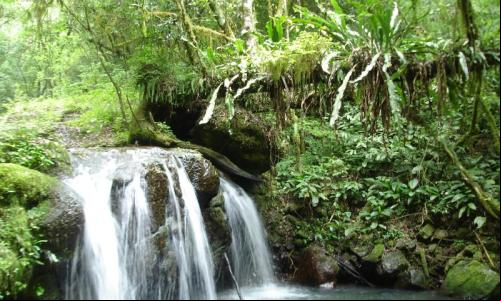 Waterfall