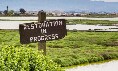 placa mostra os dizeres "restauração em andamento" com paisagem alagada ao fundo