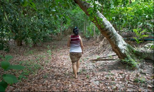 Mulher caminha na floresta