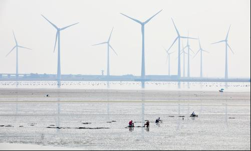 imagem mostra usinas de energia eólica em local alagado junto a pessoas ao fundo