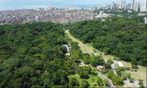 foto aérea de Salvador, com parque urbano, edificações precárias e prédios