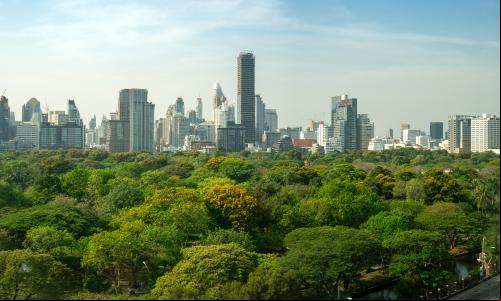 imagem mostra área de floresta com cidade ao fundo