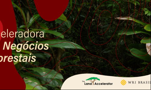 Logo da Aceleradora