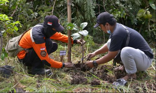 Pessoas fazem plantação de mudas