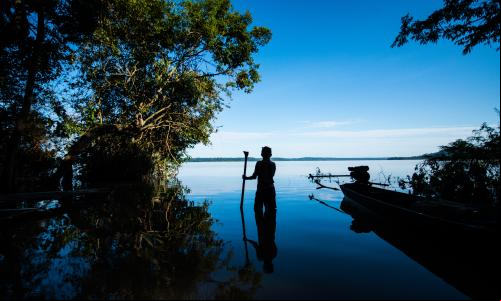 nova economia da amazônia