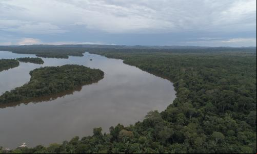 Foto aérea de floresta regenerada na Amazônia