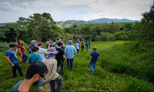 Foto da Aceleradora de Negócios Florestais em Socorro (SP). Pessoas caminham por uma agem verde. Á frente delas, árvores. Ao fundo, e distante, um morro extenso.