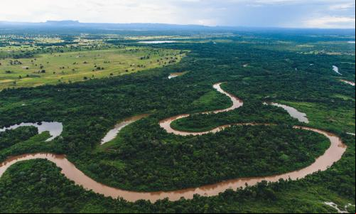 Visão geral de um rio no Pantanal, Brasil.
