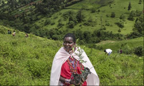 Mulheres indígenas plantam árvores nativas para restaurar as paisagens degradadas do Quênia e criar resiliência contra as mudanças climáticas