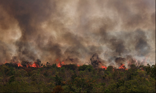 parque nacional de brasília em chamas