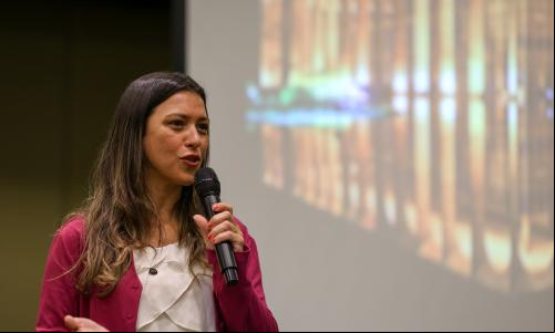 Ministério do Meio Ambiente e Mudança do ClimaSeguir 1ª Reunião da Iniciativa Global em Bioeconomia do G20 Secretária Nacional de Bioeconomia, Carina Pimenta.